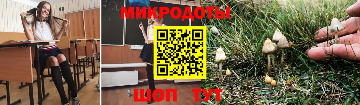 Галлюциногенные грибы Psilocybe  Вход с VPN  Кисловодск 